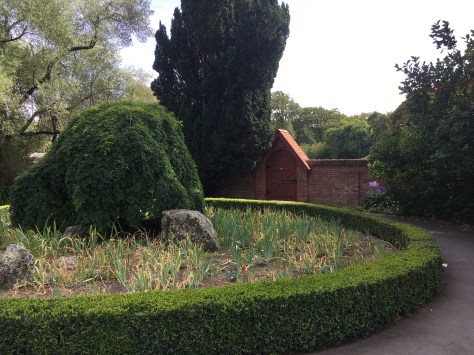 IMG_2503 2 IMG_2503 2